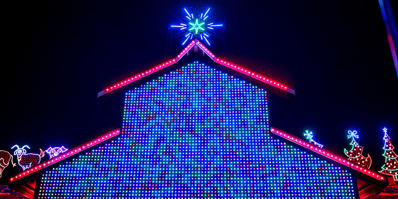 Deanna Rose Holiday Lights