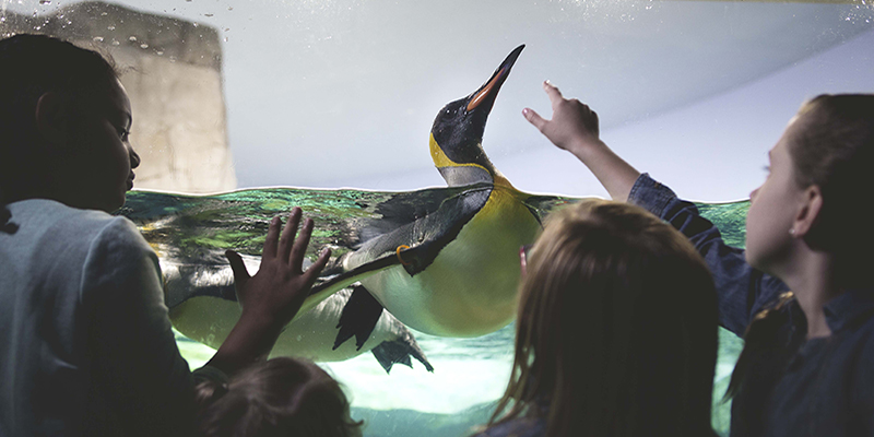 Kansas City Zoo
