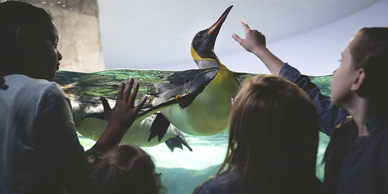 Kansas City Zoo