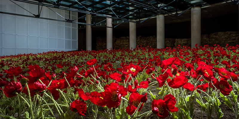 National WWI Museum and Memorial