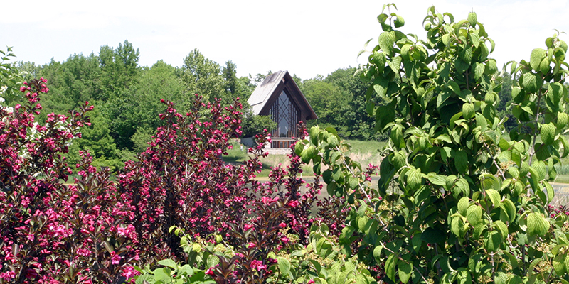 Powell Gardens