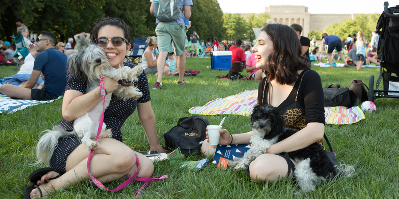 Kansas City's Lawn Party at The Nelson-Atkins Museum of Art